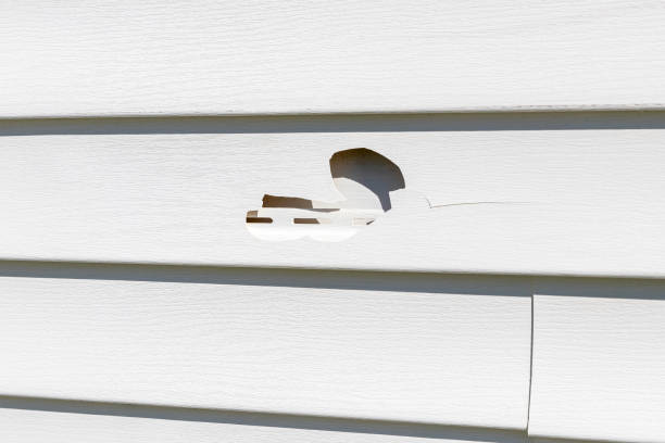 Reliable Laverne, OK Siding Services Solutions